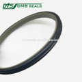 oil seal ptfe filled bronze hydraulic pump seal kits rod seal DPT1